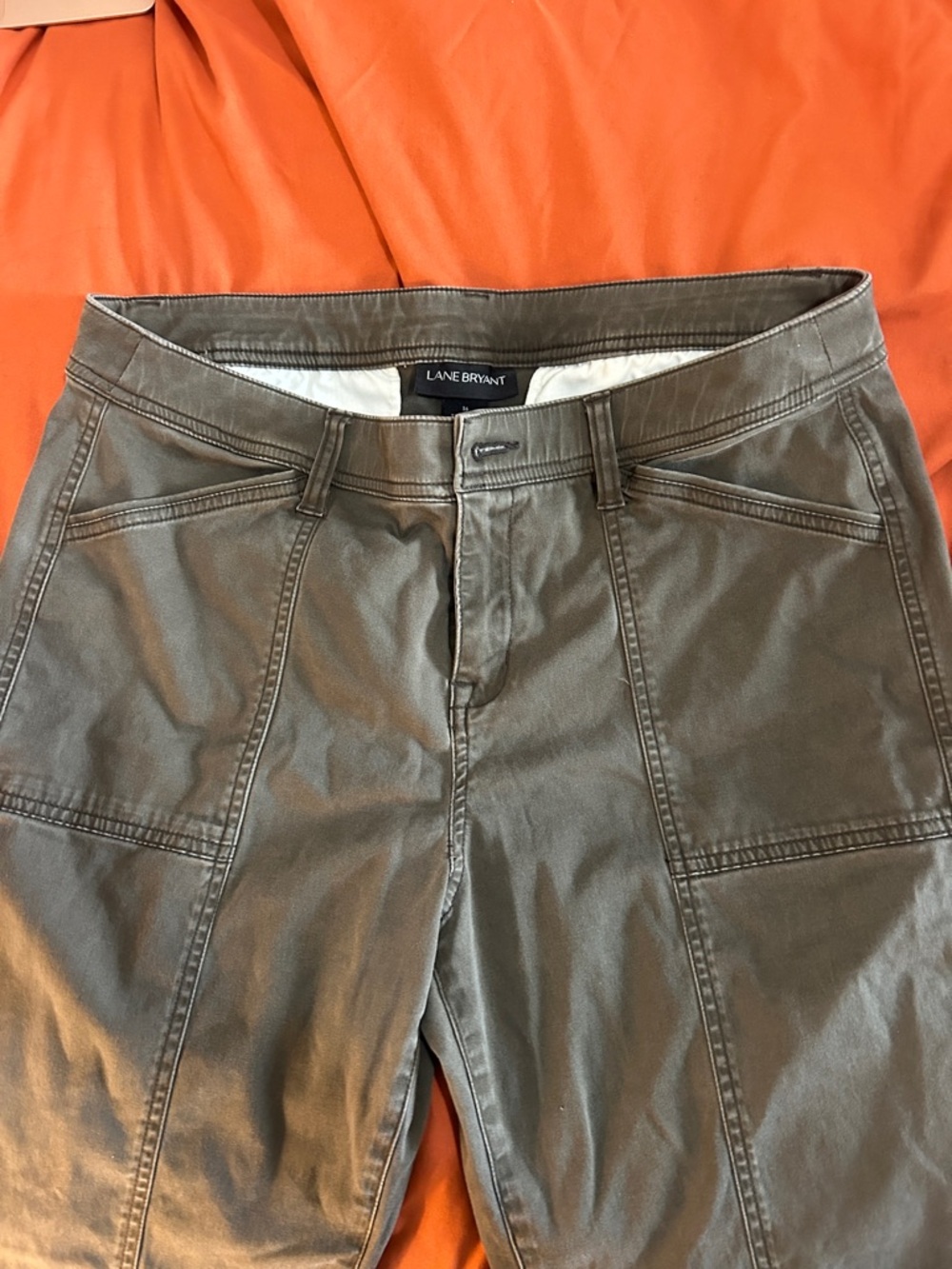 Lane Bryant Women’s Olive Skinny Jeans